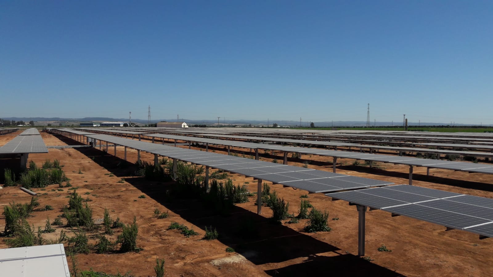 placas solares en la Comunidad de Regantes del Valle Inferior del Guadalquivir