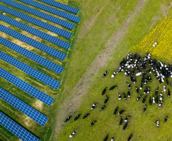 instalaciones fotovoltaicas en granjas