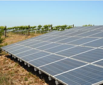 versatilidad de las instalaciones de paneles solares en viñedos