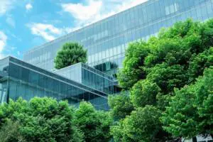 Beneficios de convertir tu empresa en una organización ecológica y sostenible